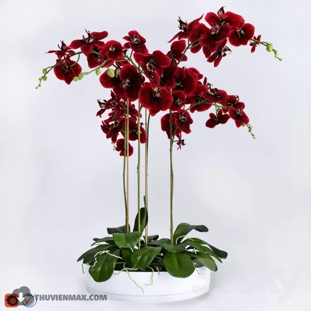 FLOWER – 3DMODEL – VASE – 525