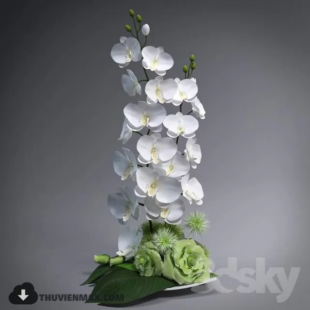 FLOWER – 3DMODEL – VASE – 537