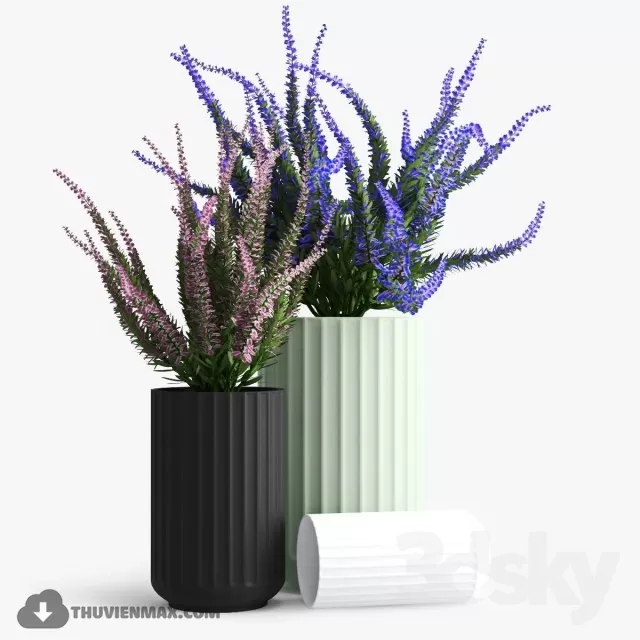FLOWER – 3DMODEL – VASE – 550
