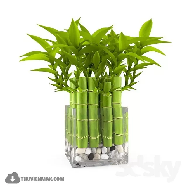 FLOWER – 3DMODEL – VASE – 553