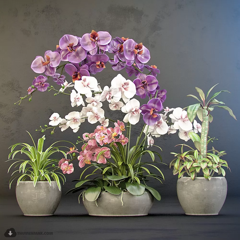 FLOWER – 3DMODEL – VASE – 569