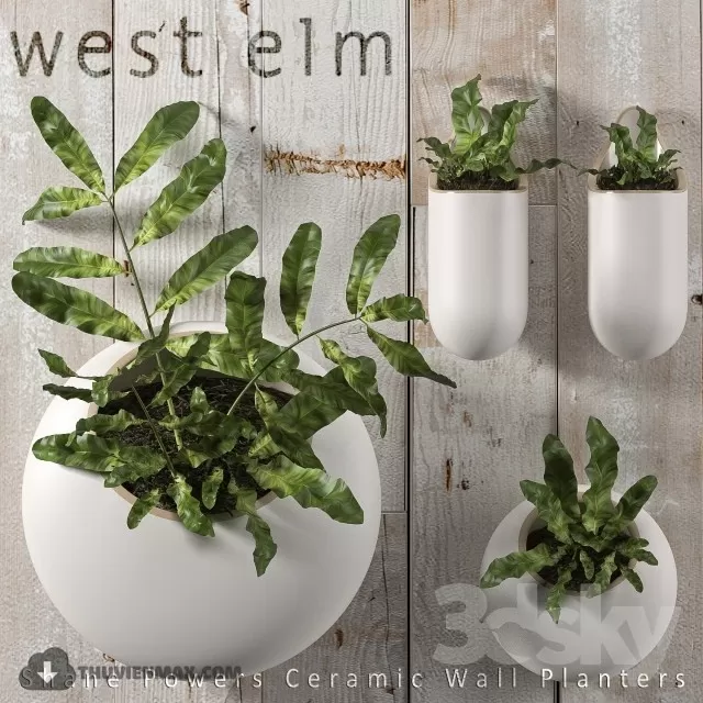 FLOWER – 3DMODEL – VASE – 583