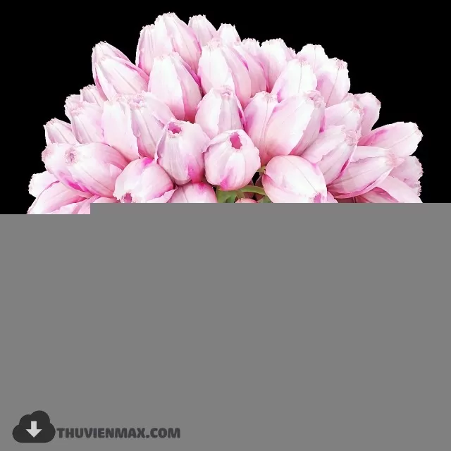 FLOWER – 3DMODEL – VASE – 600