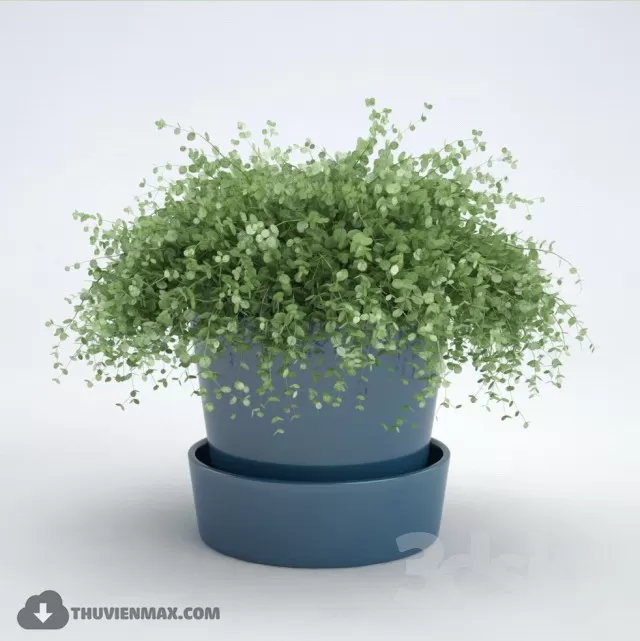 FLOWER – 3DMODEL – VASE – 631