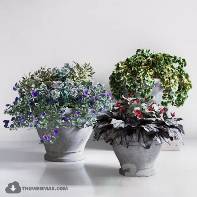 FLOWER – 3DMODEL – VASE – 640