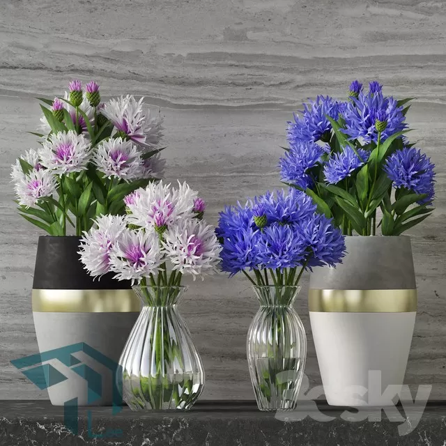 FLOWER – 3DMODEL – VASE – 647
