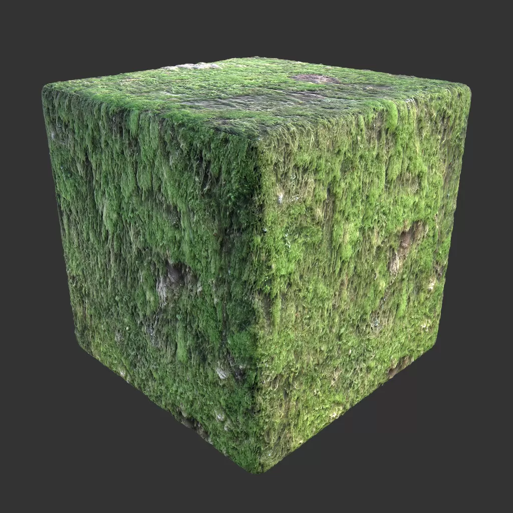 PBR TEXTURES – FULL OPTION – Bark Mossy Full – 021 PBR TEXTURES – FULL OPTION – Bark Mossy Full – 021