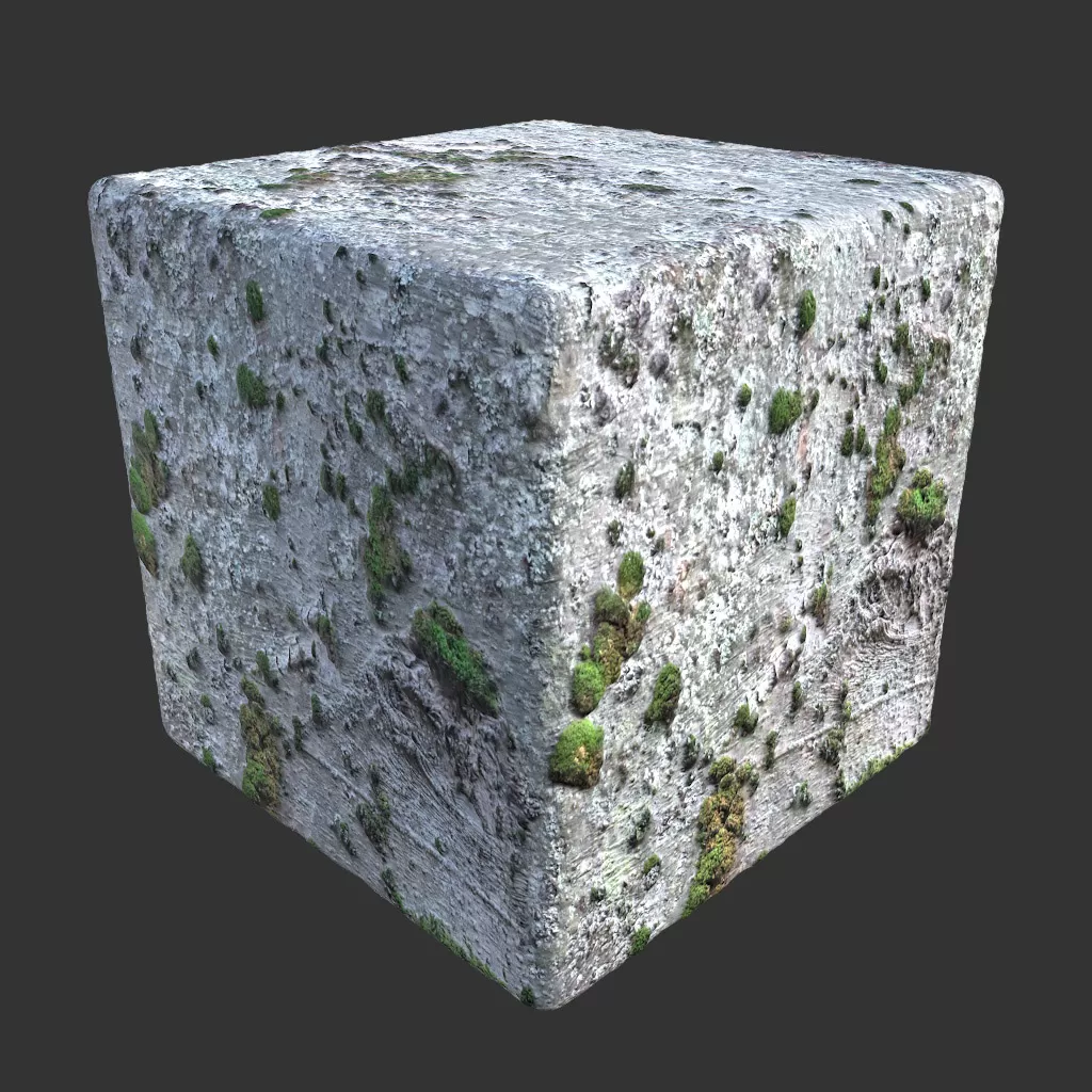 PBR TEXTURES – FULL OPTION – Bark Mossy Spotty – 024 PBR TEXTURES – FULL OPTION – Bark Mossy Spotty – 024
