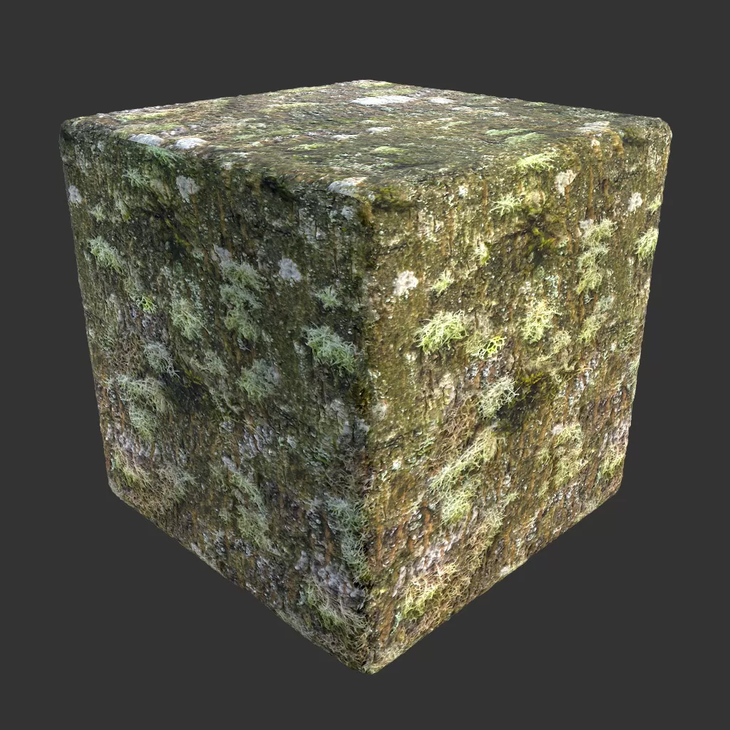 PBR TEXTURES – FULL OPTION – Bark Mossy Spotty – 025 PBR TEXTURES – FULL OPTION – Bark Mossy Spotty – 025