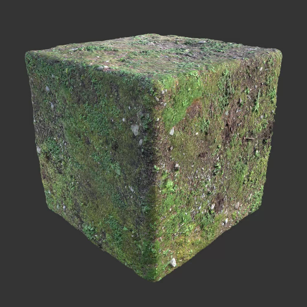 PBR TEXTURES – FULL OPTION – Ground Forest  – 539