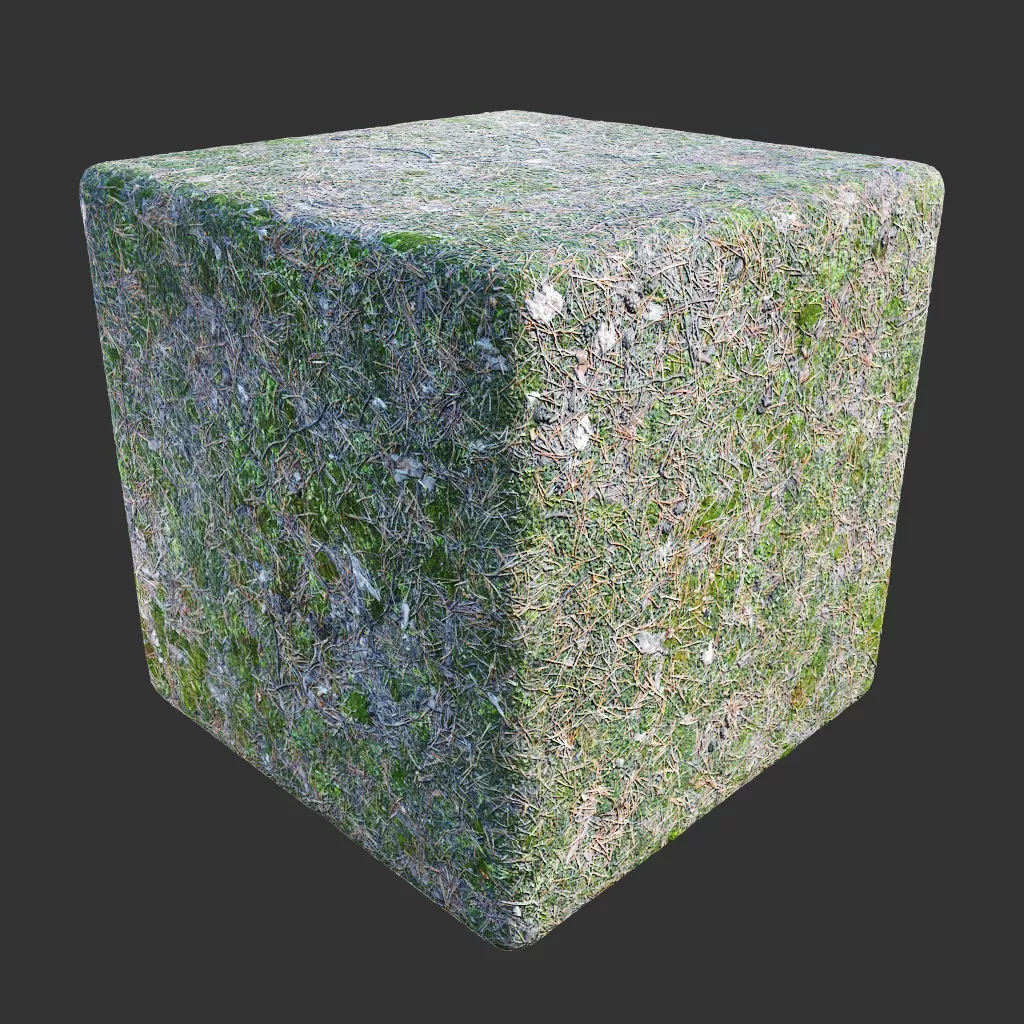 PBR TEXTURES – FULL OPTION – Ground Forest Mossy – 547