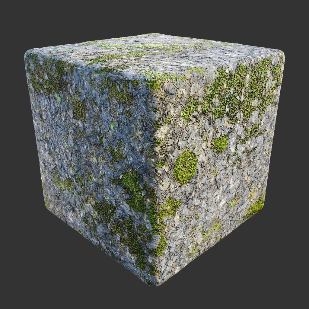 PBR TEXTURES – FULL OPTION – Ground Forest Mossy – 549