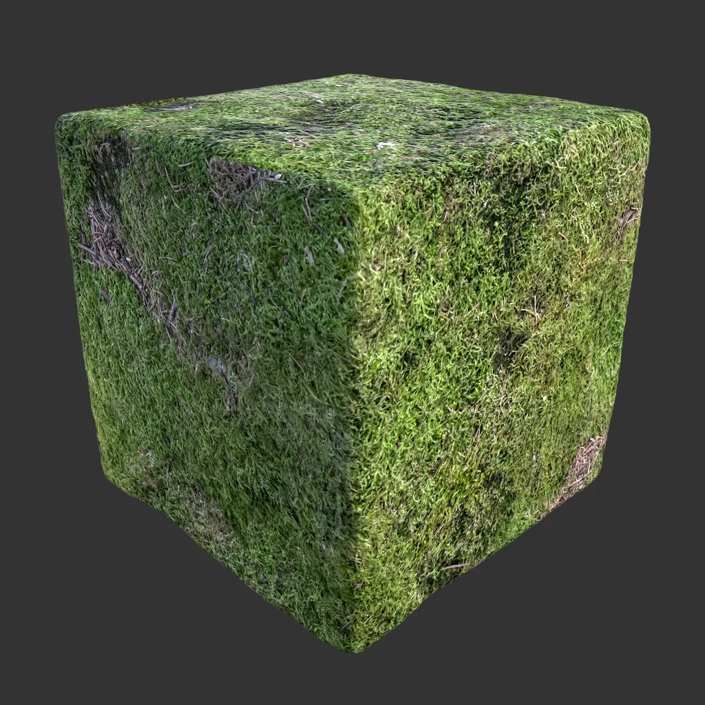 PBR TEXTURES – FULL OPTION – Rock Mossy Full – 983