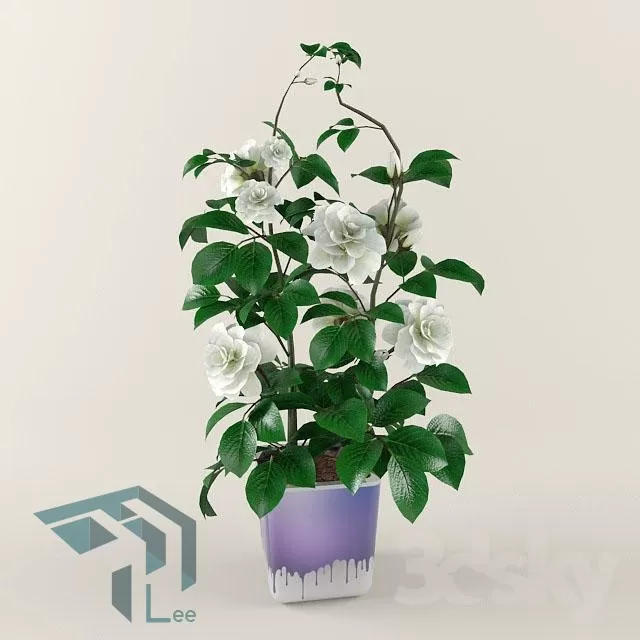 PRO PLANT 3D MODELS – 120