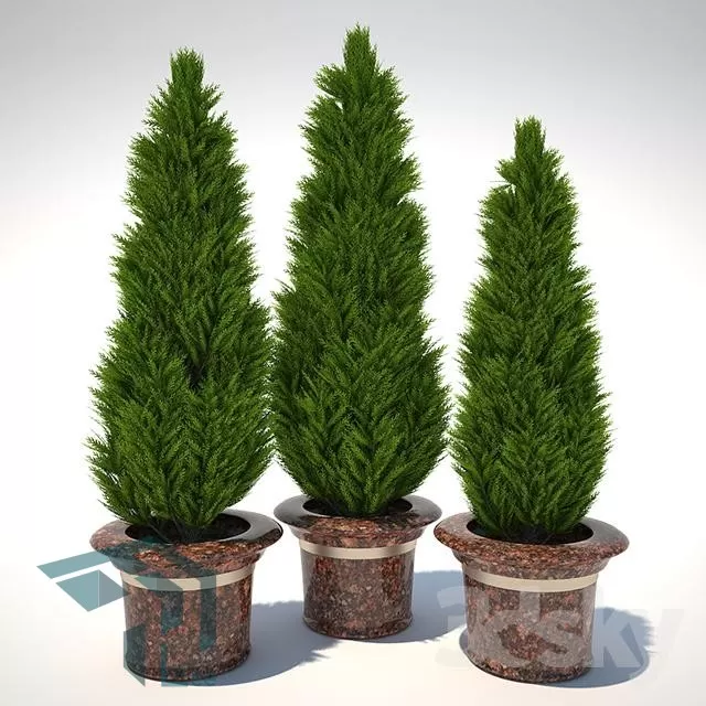PRO PLANT 3D MODELS – 131