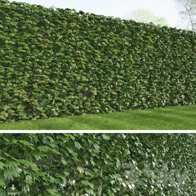 PRO PLANT 3D MODELS – 153