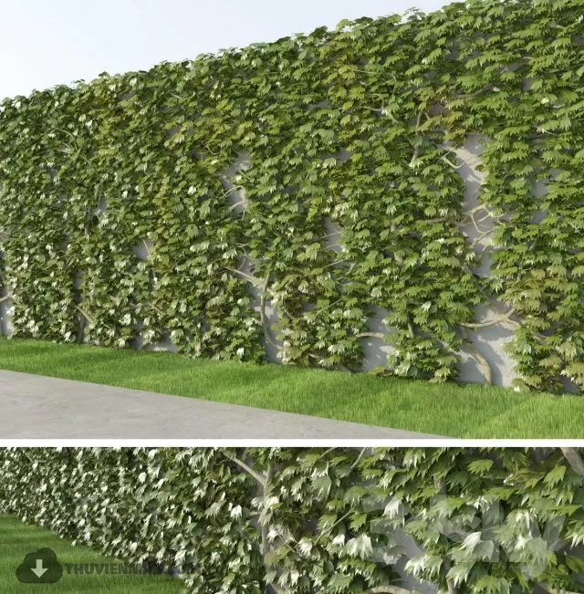 PRO PLANT 3D MODELS – 154