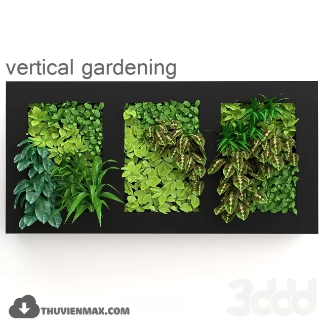 PRO PLANT 3D MODELS – 162