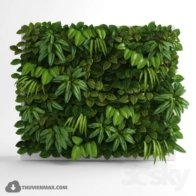 PRO PLANT 3D MODELS – 163