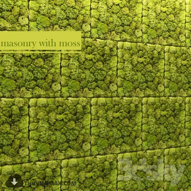 PRO PLANT 3D MODELS – 174