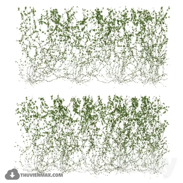 PRO PLANT 3D MODELS – 176