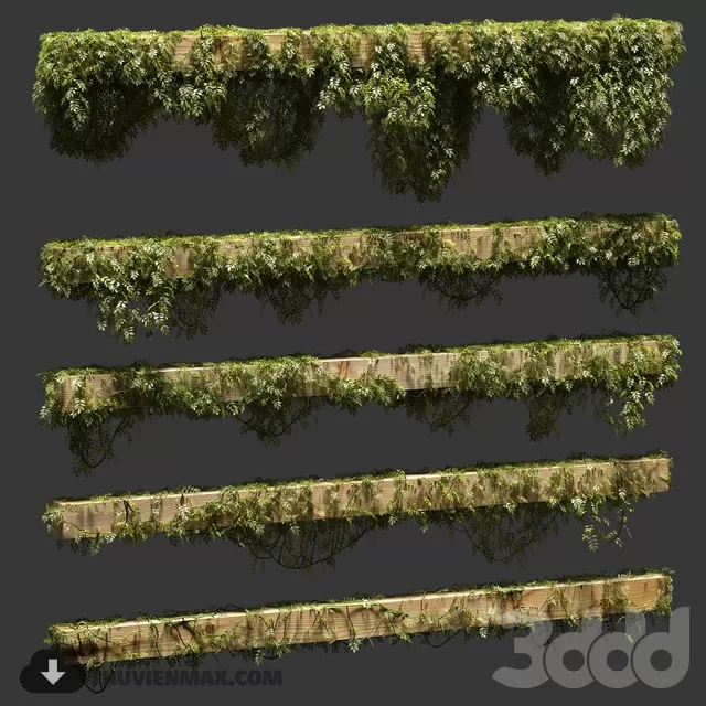 PRO PLANT 3D MODELS – 193