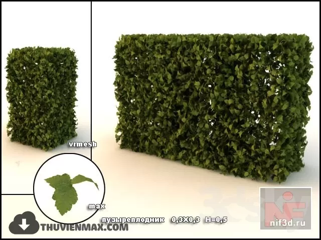 PRO PLANT 3D MODELS – 198