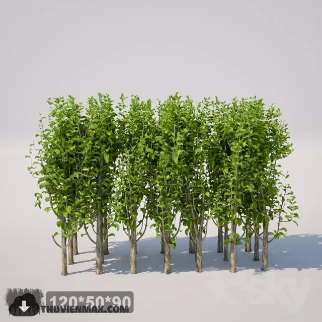 PRO PLANT 3D MODELS – 199