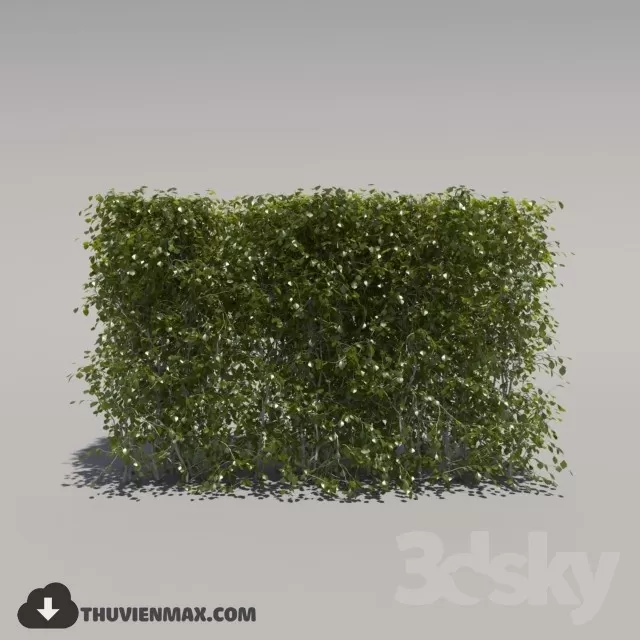 PRO PLANT 3D MODELS – 204