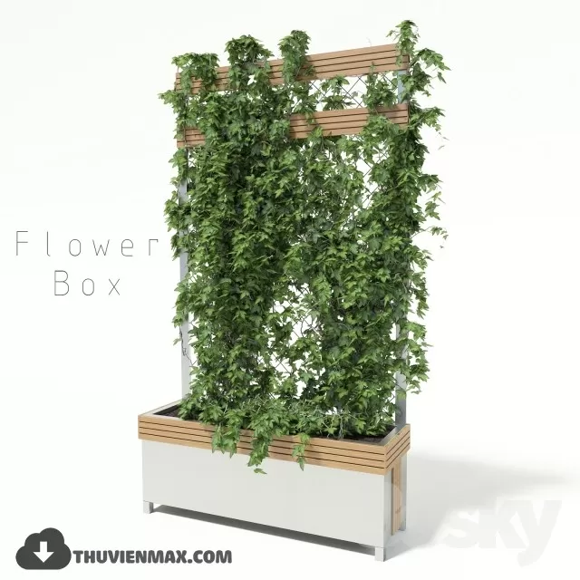 PRO PLANT 3D MODELS – 205