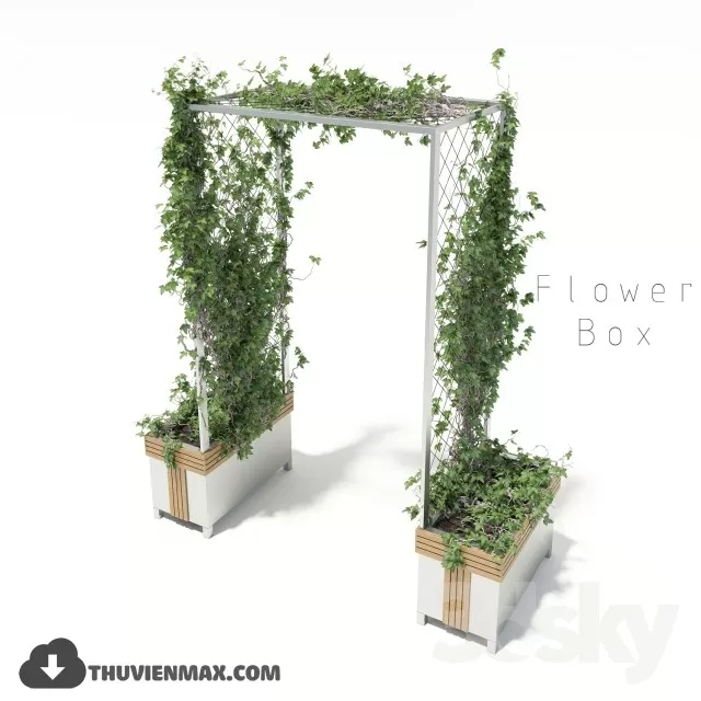 PRO PLANT 3D MODELS – 207