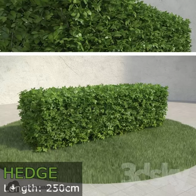 PRO PLANT 3D MODELS – 210