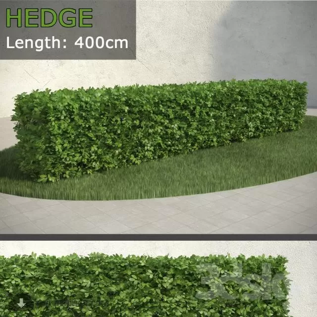 PRO PLANT 3D MODELS – 211