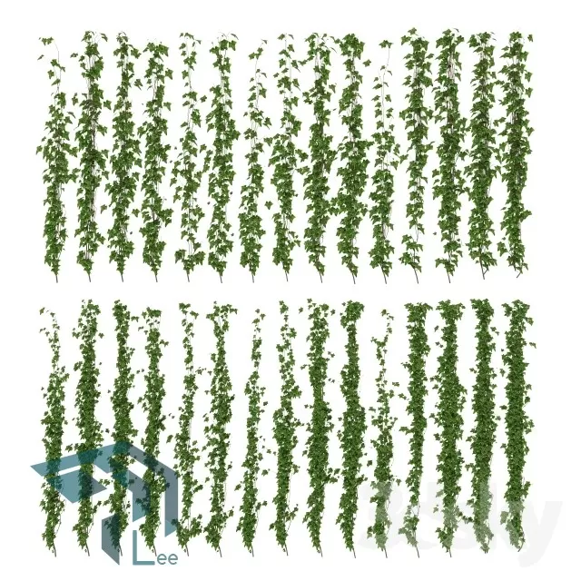 PRO PLANT 3D MODELS – 215