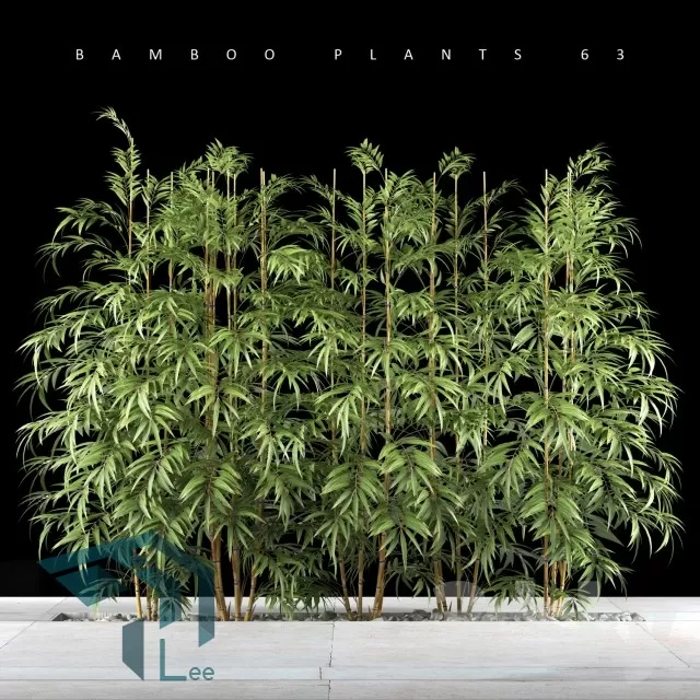 PRO PLANT 3D MODELS – 217