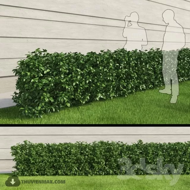 PRO PLANT 3D MODELS – 219