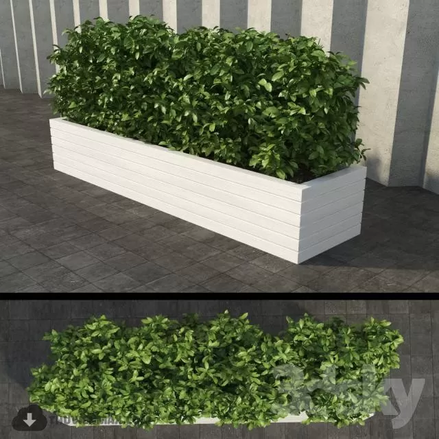 PRO PLANT 3D MODELS – 220