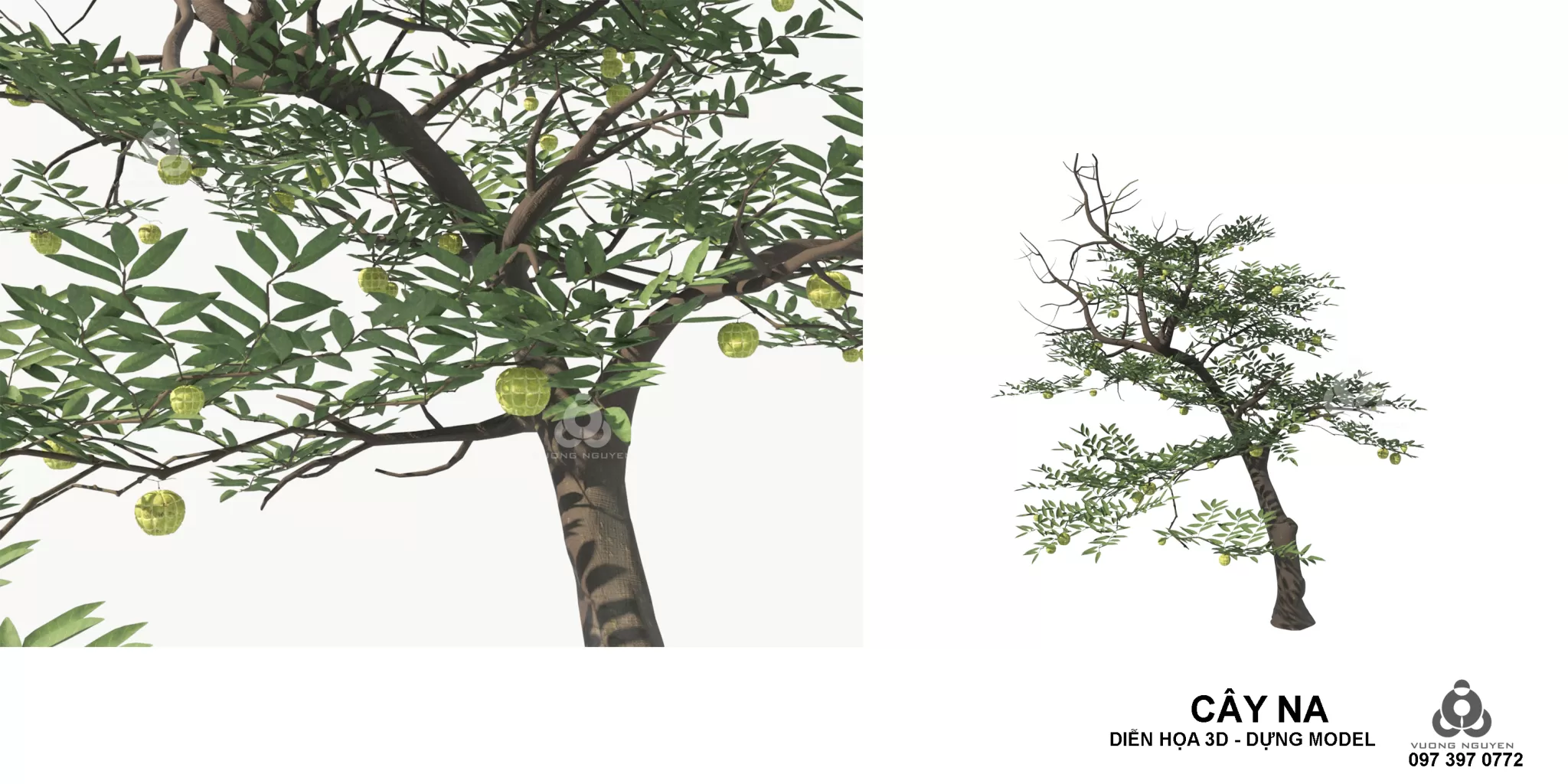 PRO PLANT 3D MODELS – 225