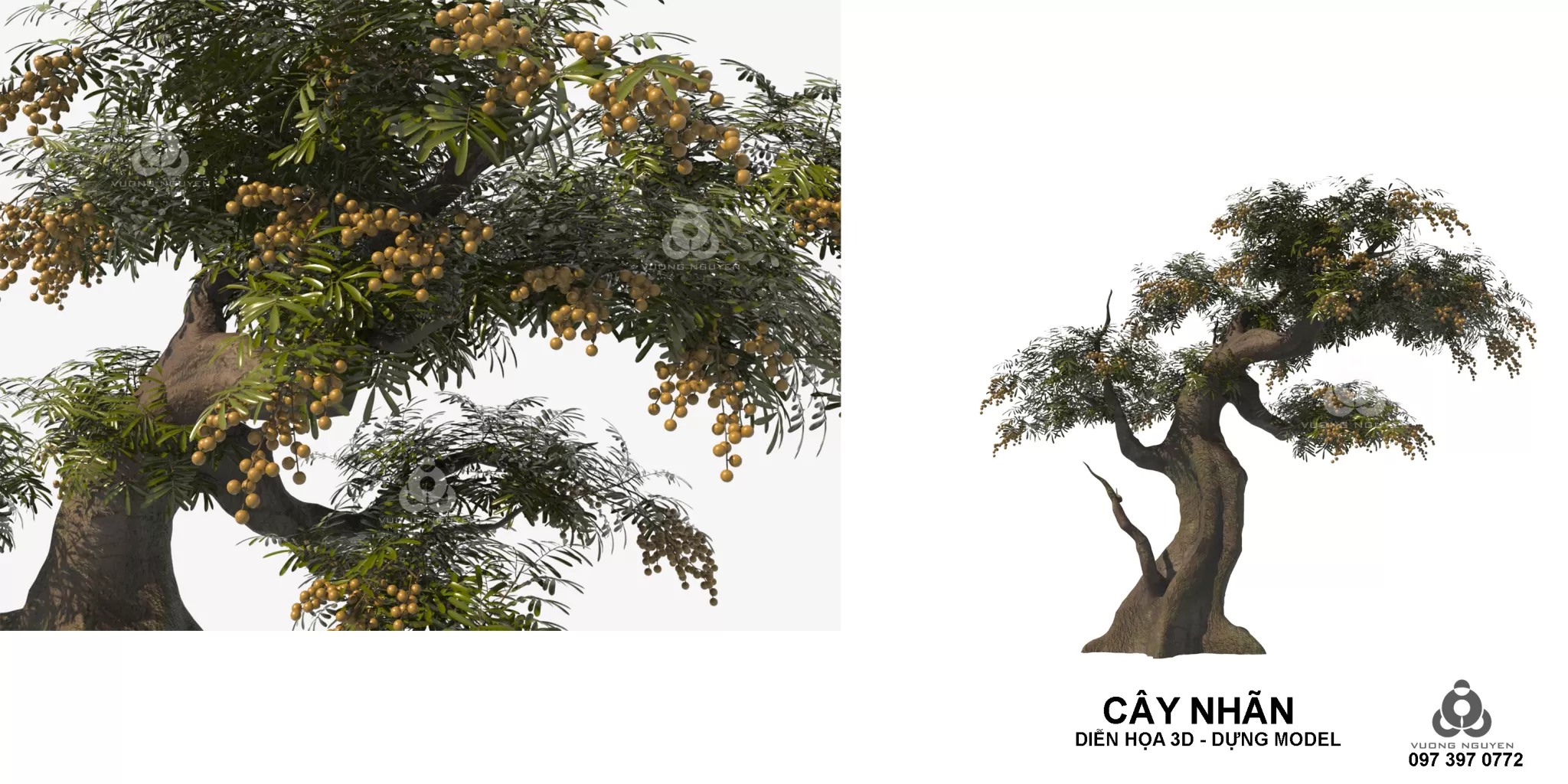 PRO PLANT 3D MODELS – 226