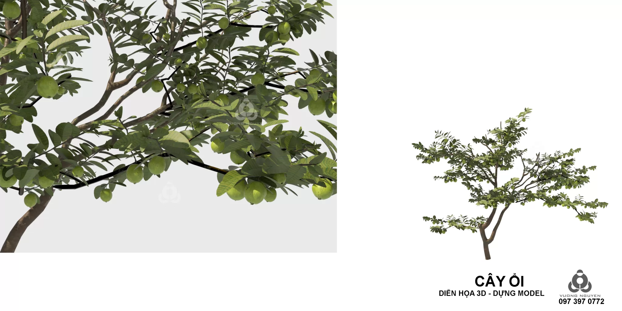 PRO PLANT 3D MODELS – 227