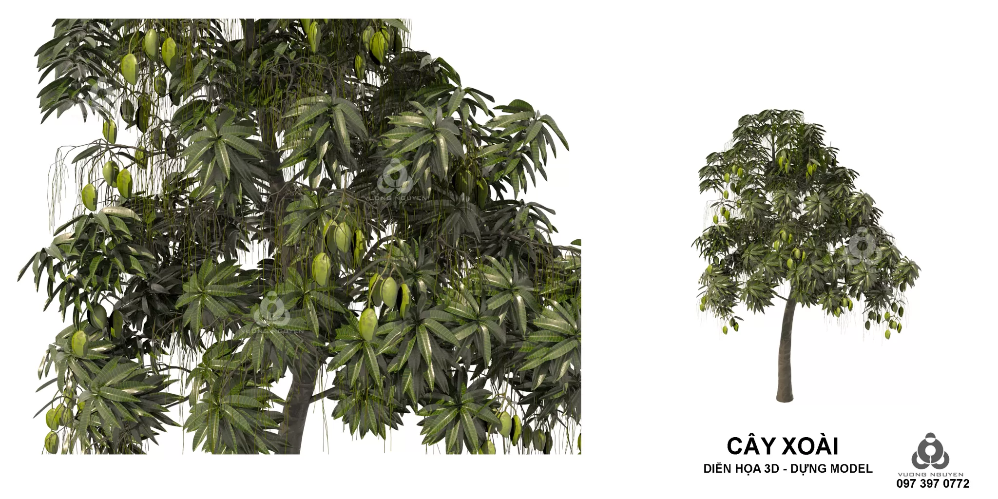 PRO PLANT 3D MODELS – 228