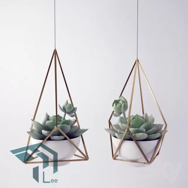 PRO PLANT 3D MODELS – 229