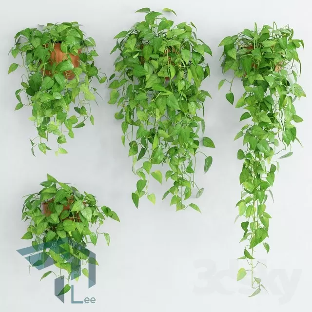 PRO PLANT 3D MODELS – 230