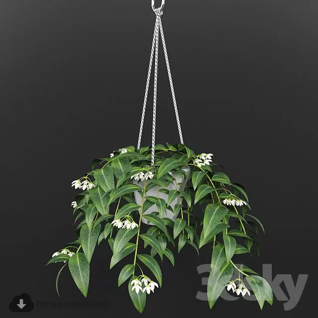 PRO PLANT 3D MODELS – 233