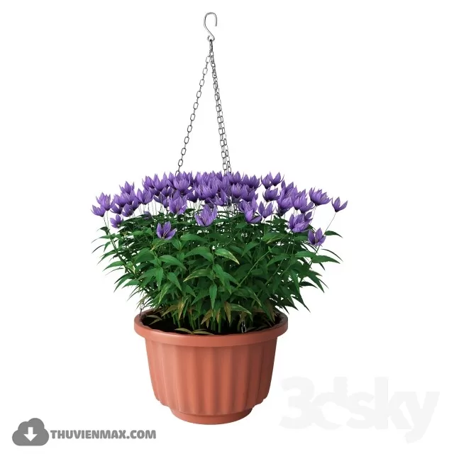 PRO PLANT 3D MODELS – 234
