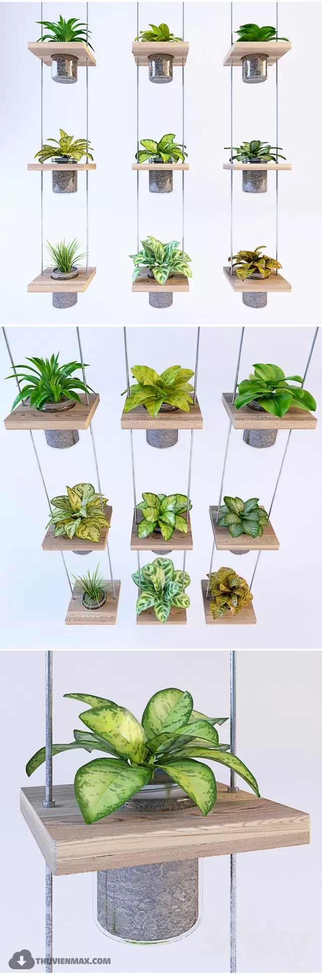 PRO PLANT 3D MODELS – 237