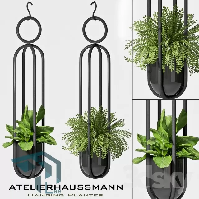 PRO PLANT 3D MODELS – 240