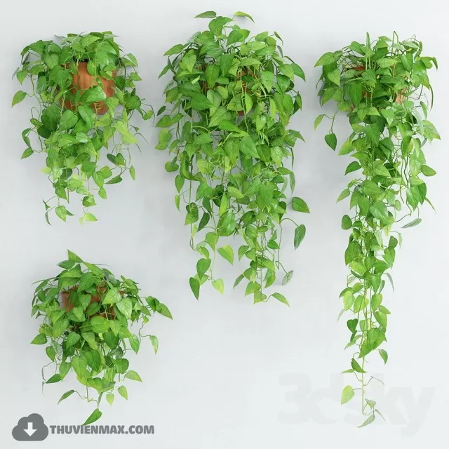 PRO PLANT 3D MODELS – 243