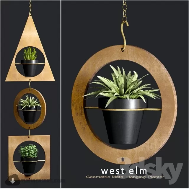 PRO PLANT 3D MODELS – 244