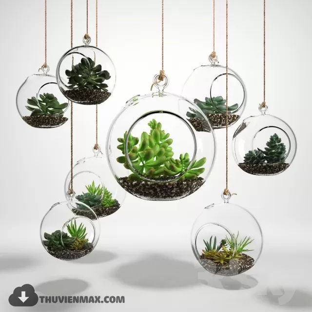 PRO PLANT 3D MODELS – 246